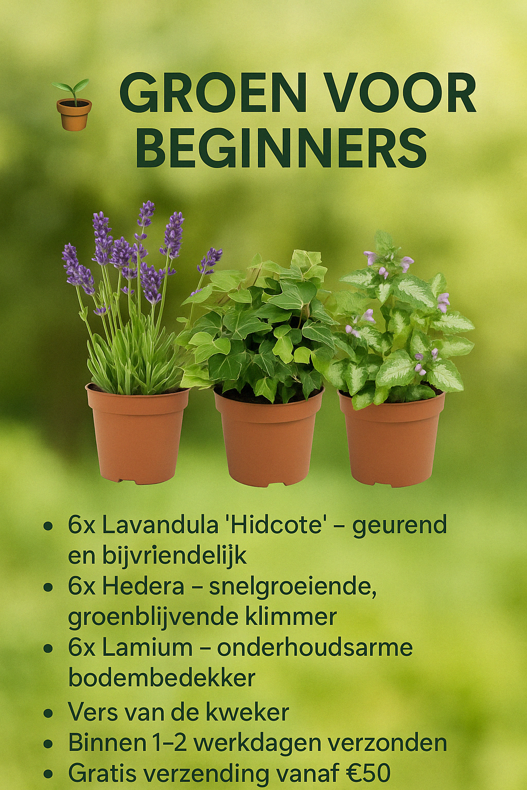 🪴 1. Groen voor Beginners Set