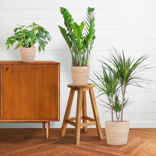 Schaduw Plantenbox - medium