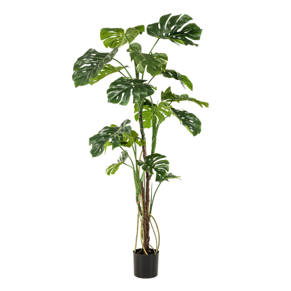 kunstplant - Monstera - Gatenplant - 180cm