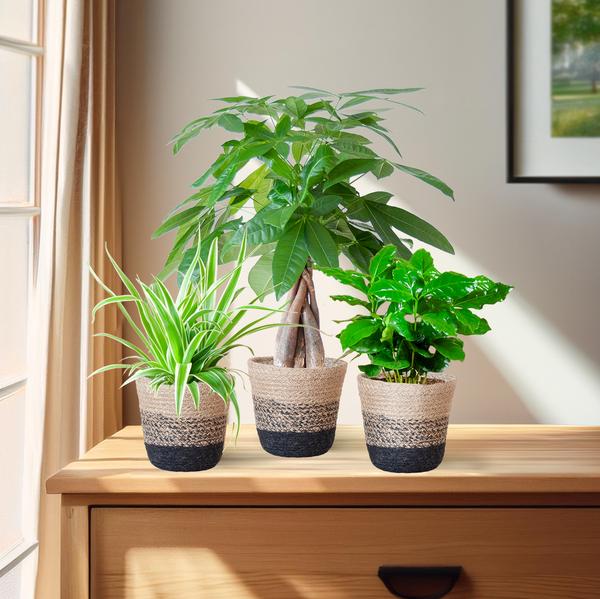 Diervriendelijke Plantenbox - klein - Ø12