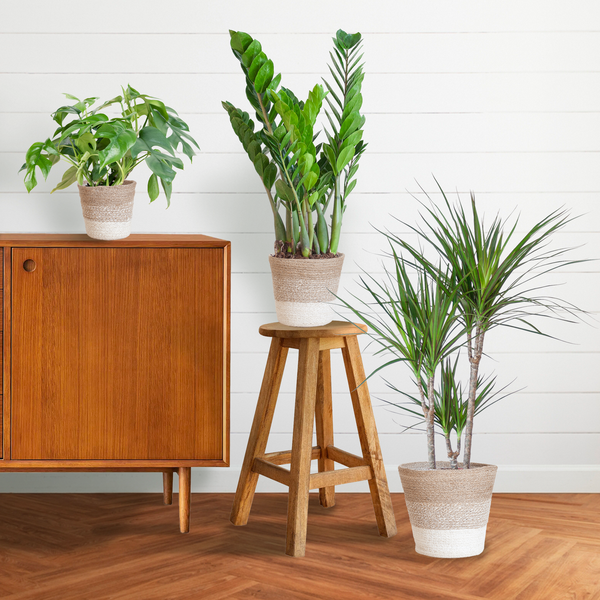 Schaduw Plantenbox - medium