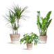 Schaduw Plantenbox - medium - met mand Lissabon wit