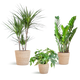 Schaduw Plantenbox - medium - met mand Sofia