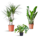 Schaduw Plantenbox - medium - zonder sierpot